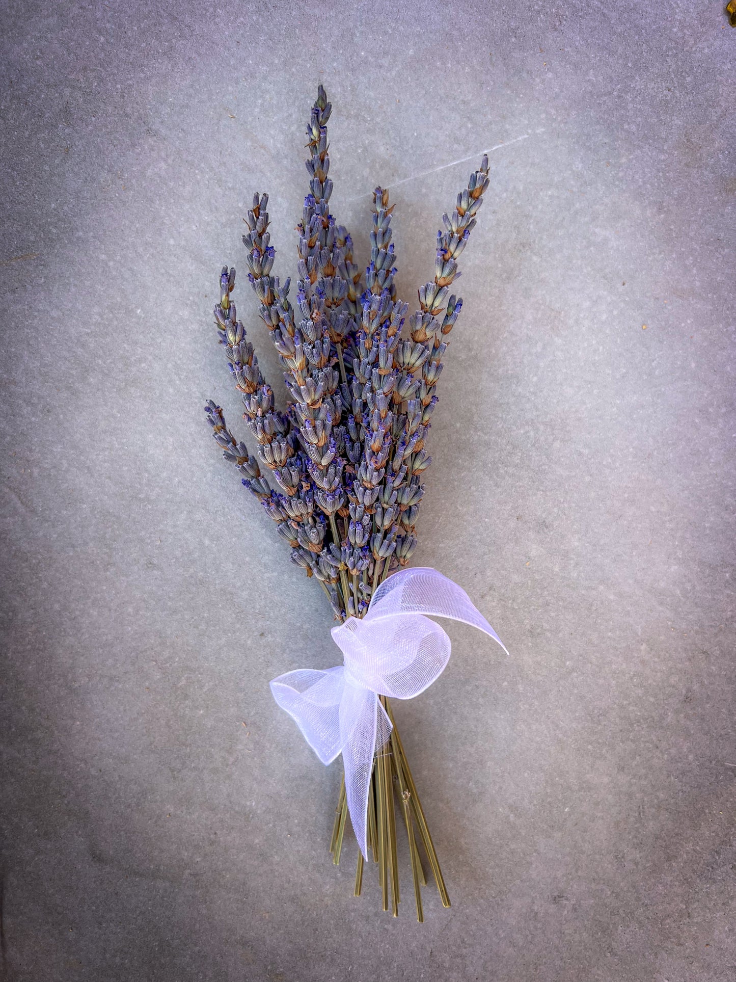 Handpicked Dried Lavender Bundles - Artisan-Grown in Paso Robles