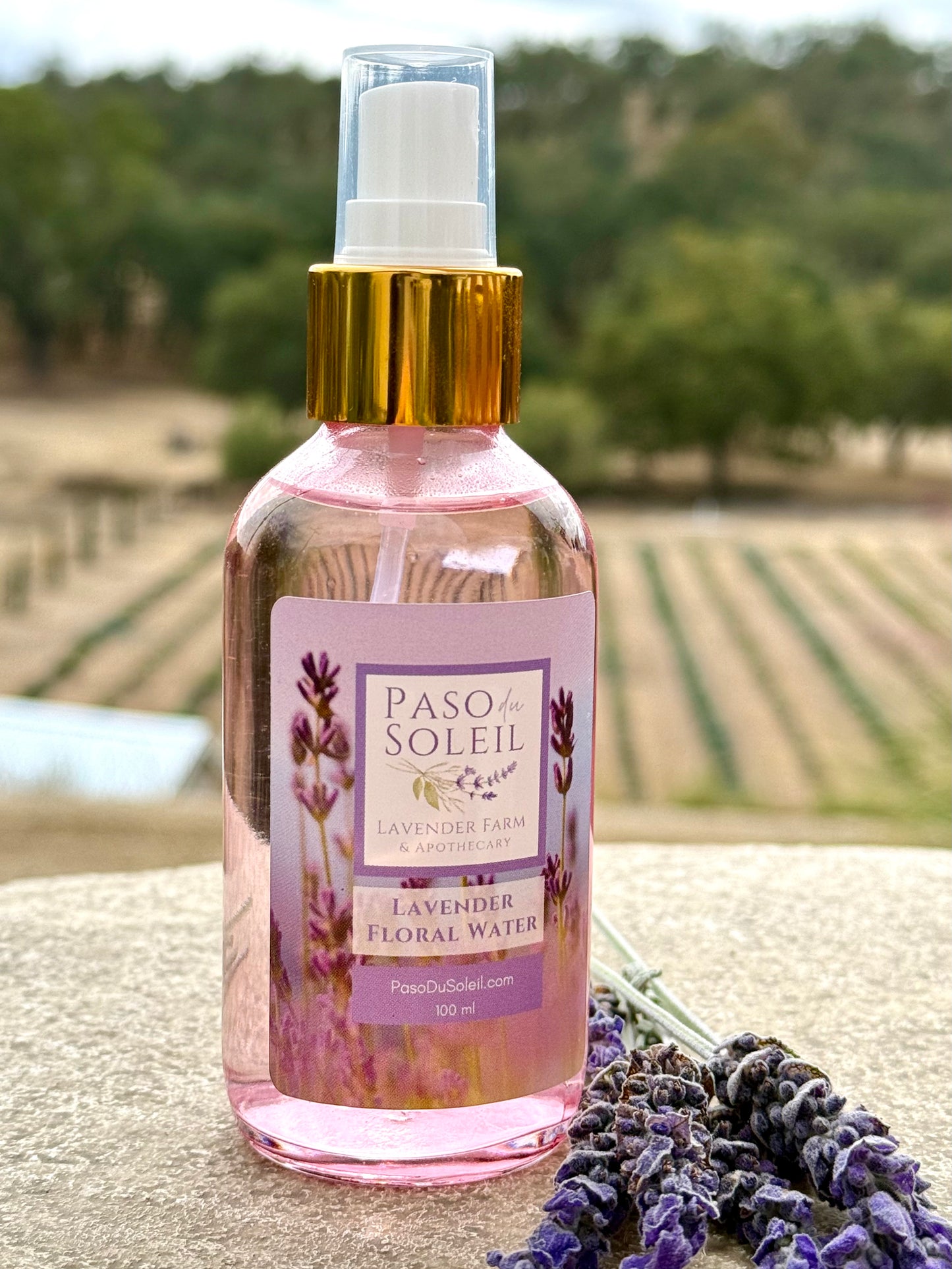 Lavender Floral Water (Hydrosol) - Farm-Grown and Distilled in Paso Robles