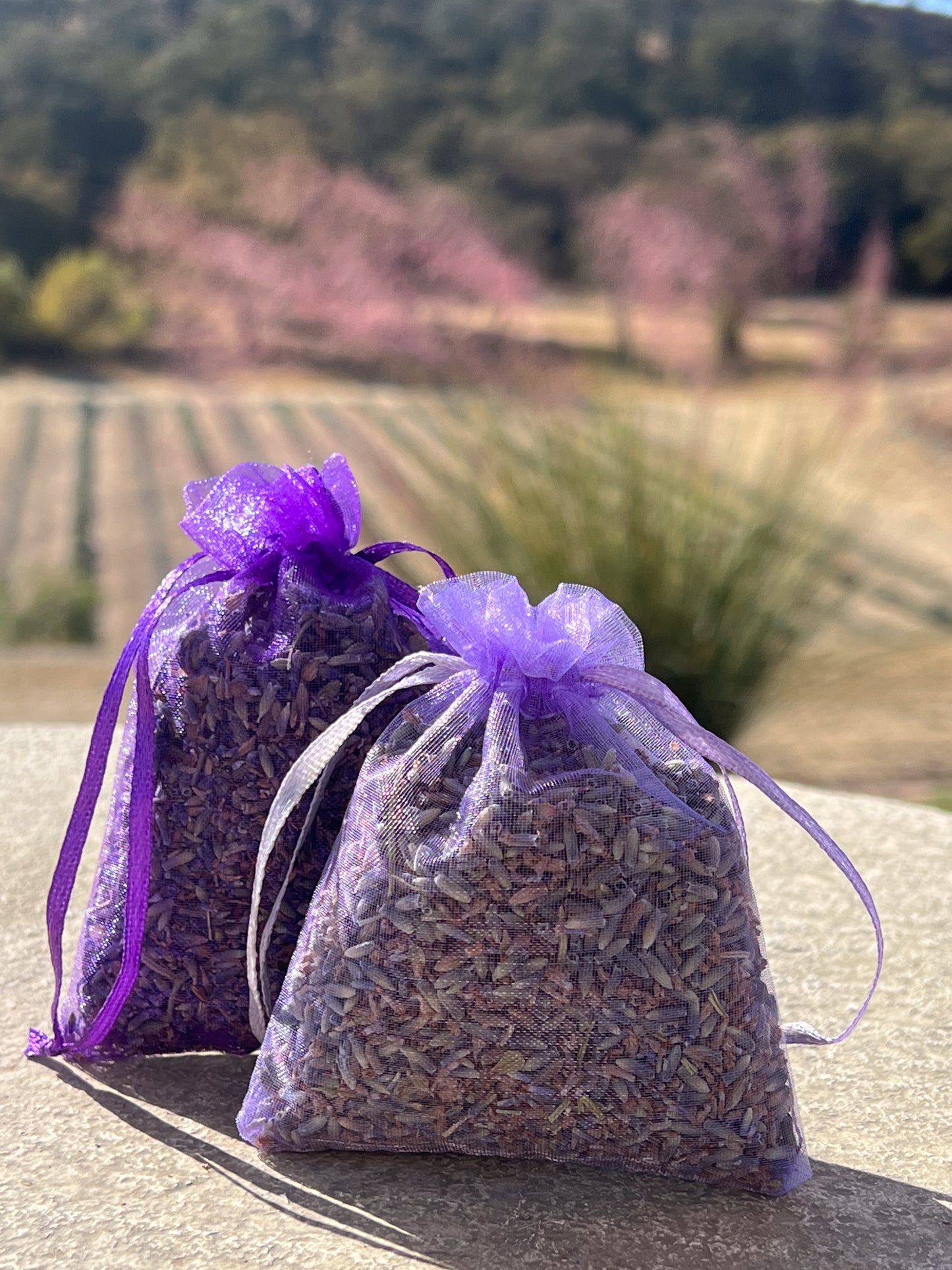 Artisan Lavender Sachet - Handpicked from Paso Robles