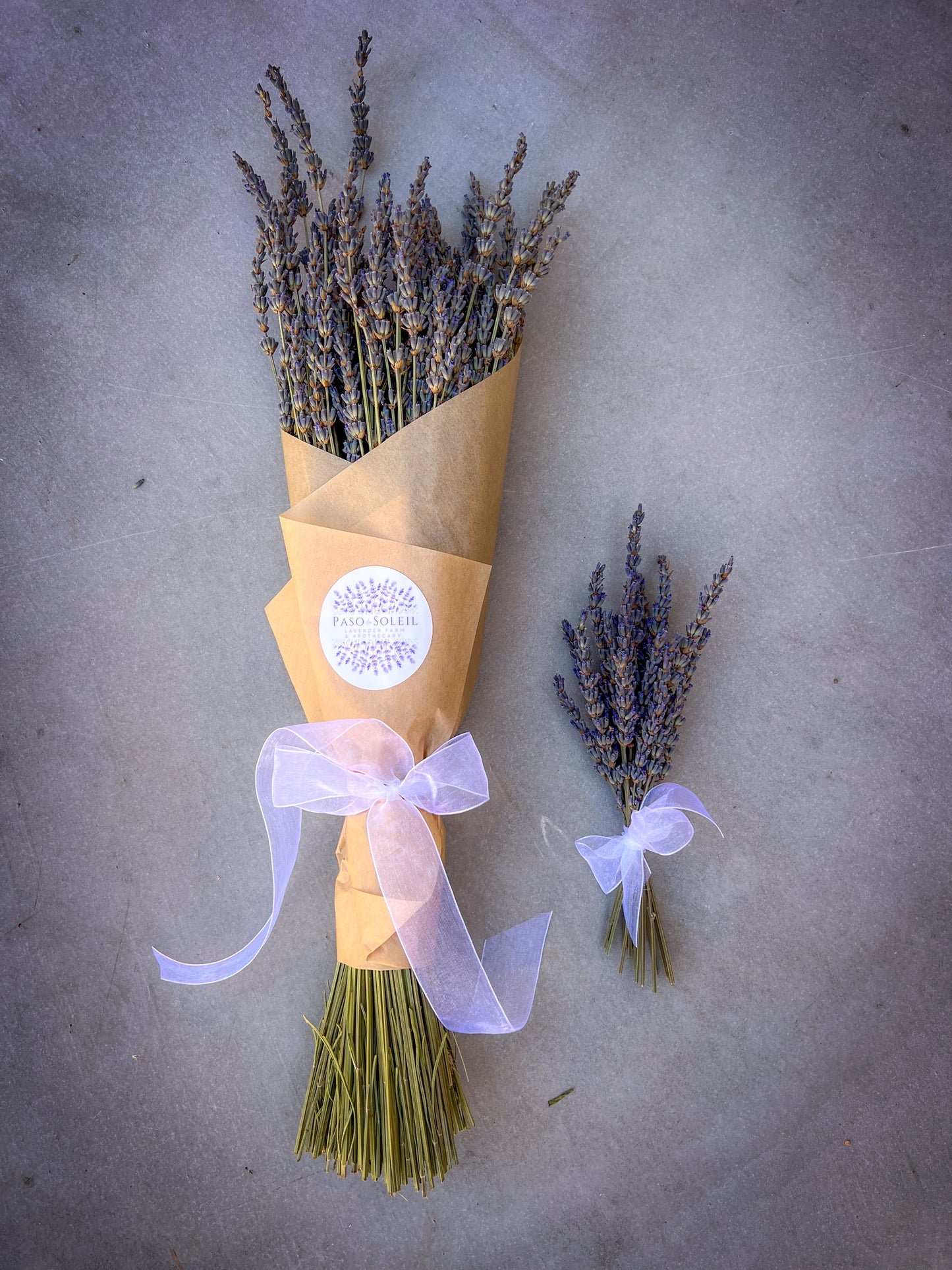 Handpicked Dried Lavender Bundles - Artisan-Grown in Paso Robles