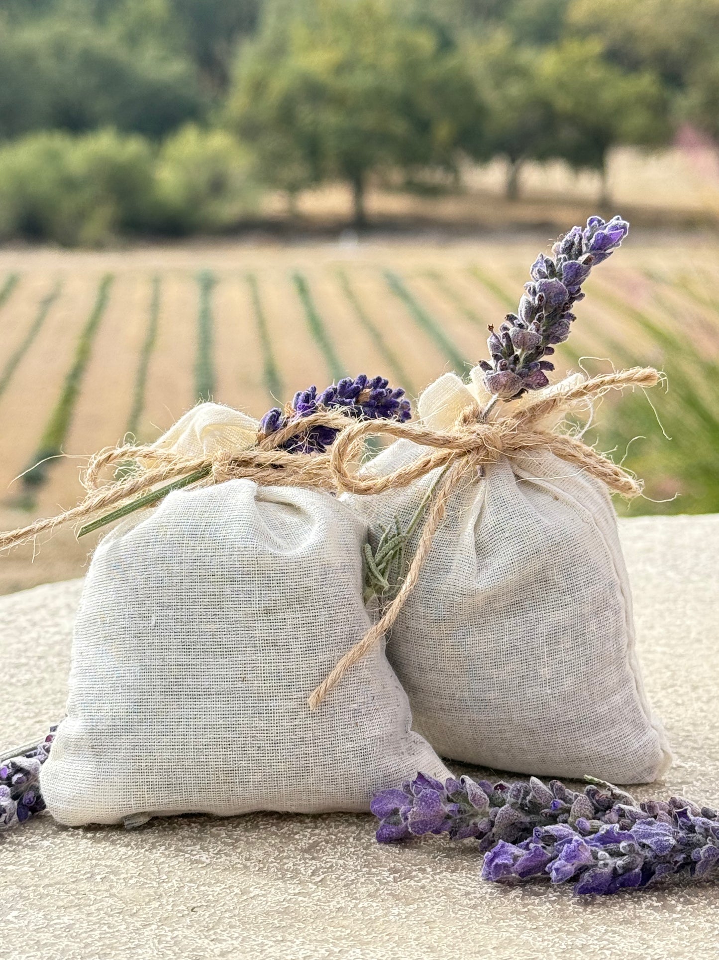Artisan Lavender Sachet - Handpicked from Paso Robles