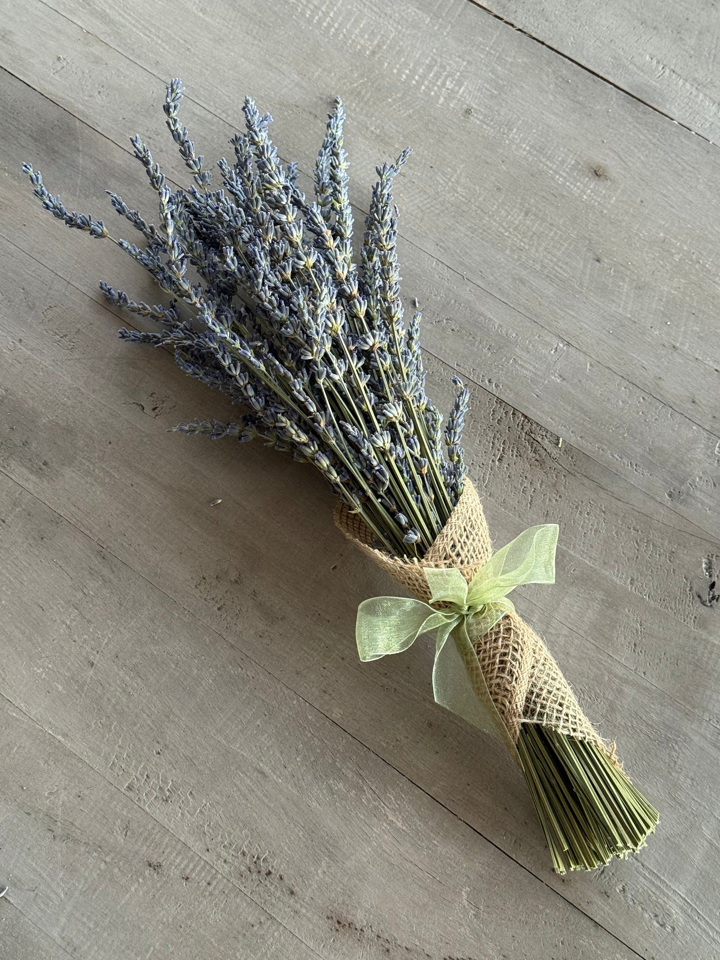 Handpicked Dried Lavender Bundles - Artisan-Grown in Paso Robles