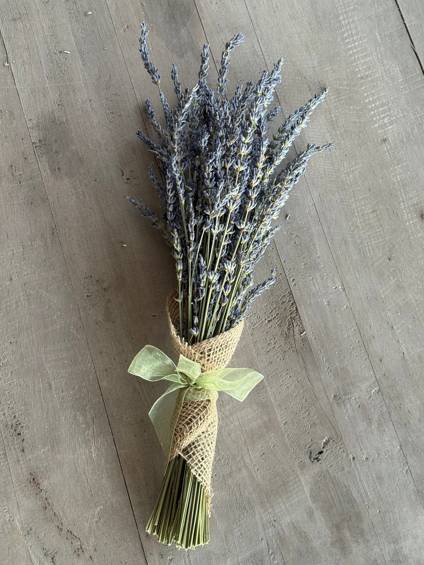 Handpicked Dried Lavender Bundles - Artisan-Grown in Paso Robles